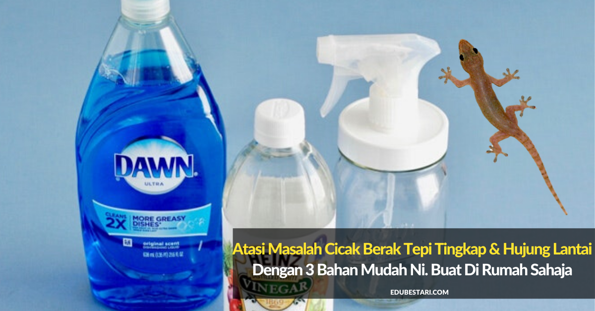Atasi Masalah Cicak Berak Tepi Tingkap & Hujung Lantai Dengan 3 Bahan Mudah Ni. Buat Di Rumah Sahaja
