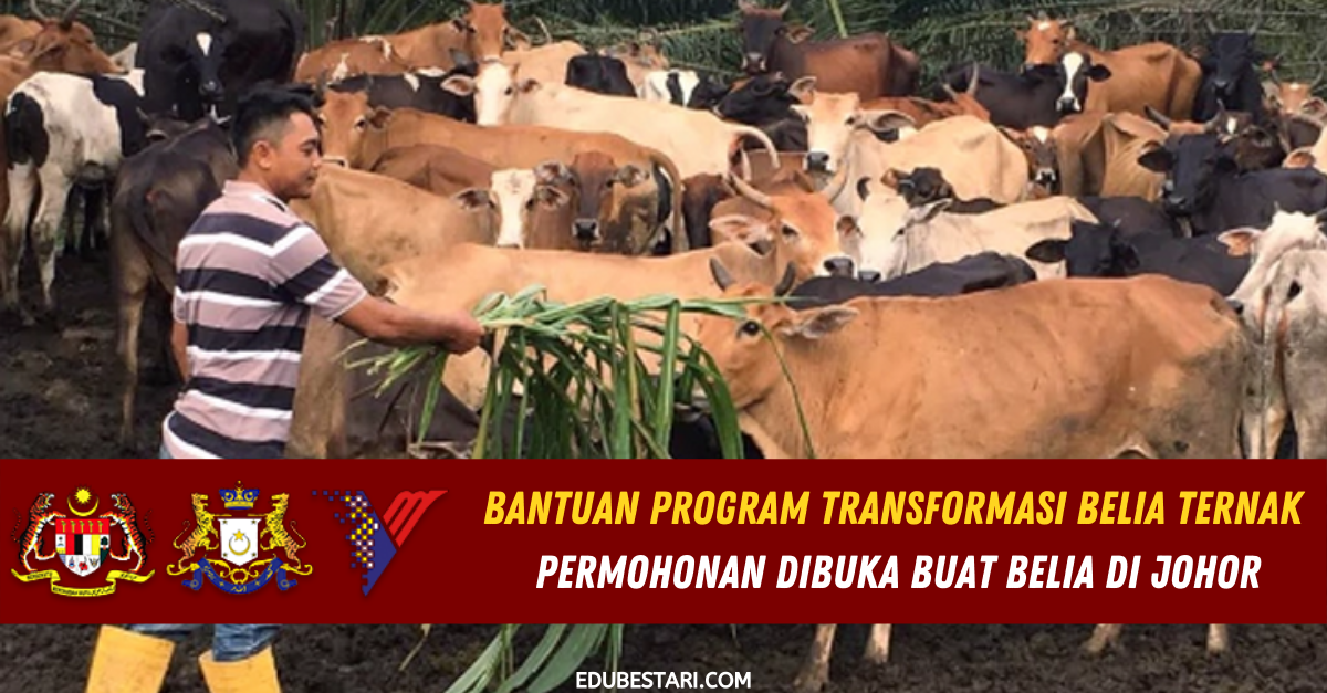 Bantuan Program Transformasi Belia Ternak Permohonan Dibuka Buat Belia Di Johor